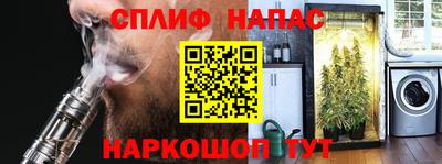 сатива Славгород