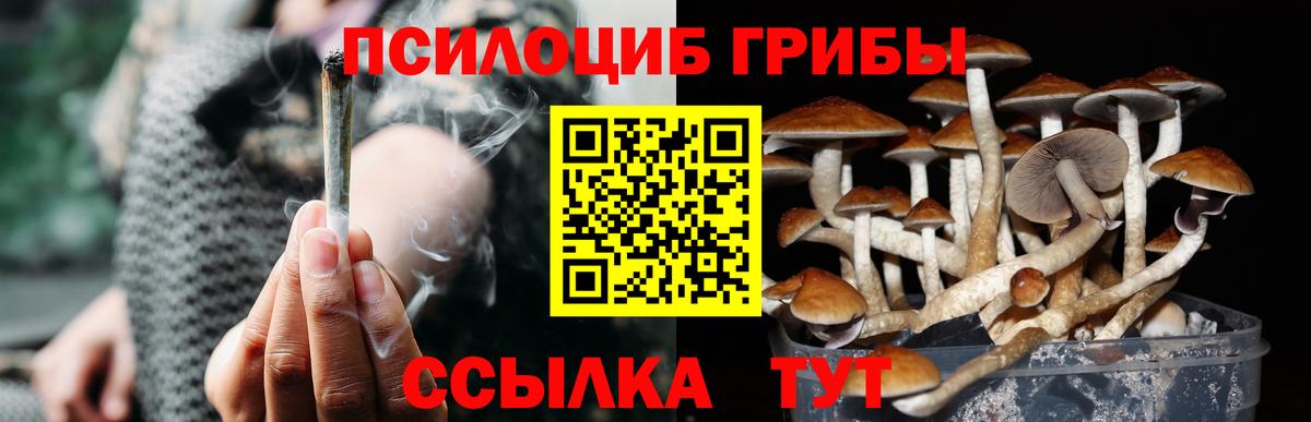 Галлюциногенные грибы мицелий  Галлюциногенные грибы MAGIC MUSHROOMS  Вход с VPN  Ялуторовск 